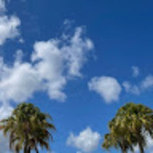 Meet your Posher, Robbie